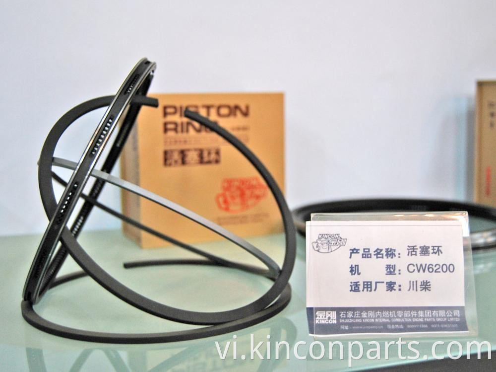 Performance Piston Rings